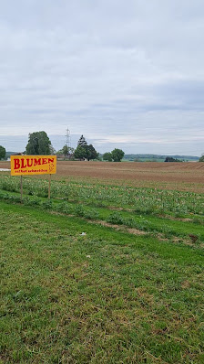 Blumen zum Selberschneiden