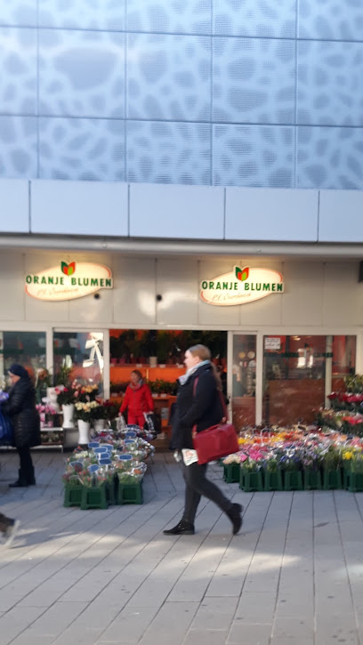 Oranje Blumen