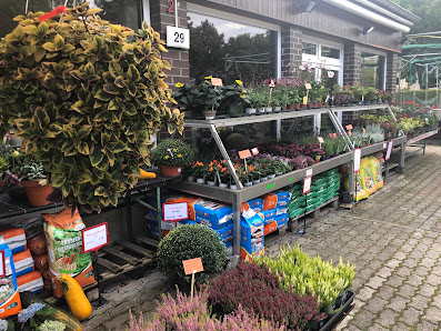 Blumen Jahns