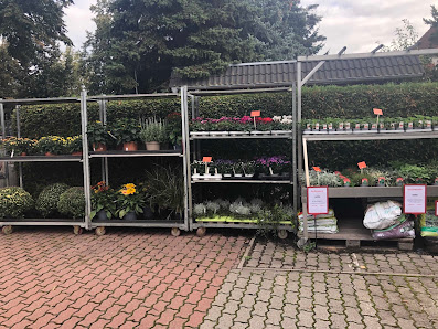 Blumen Jahns
