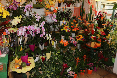Blumenhaus Mannigel