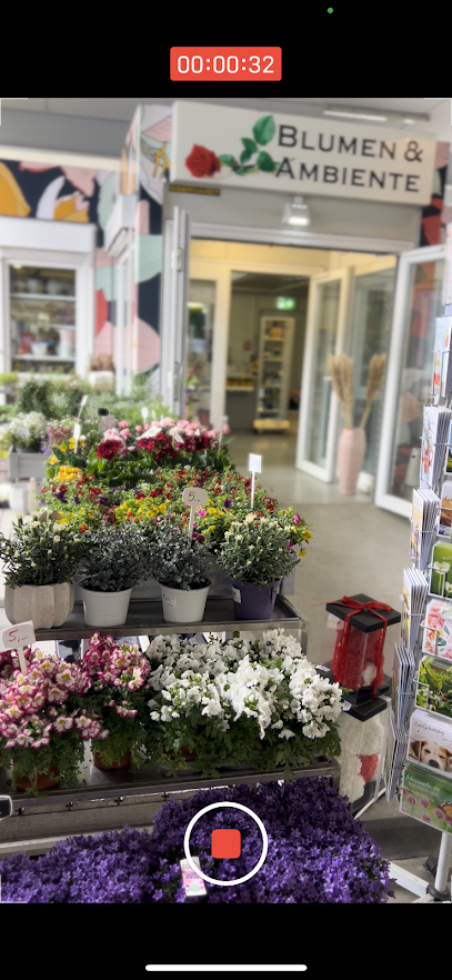 Blumen & Ambiente