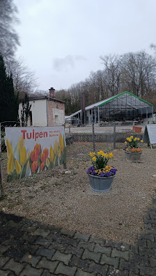 Blumen Steinbuch