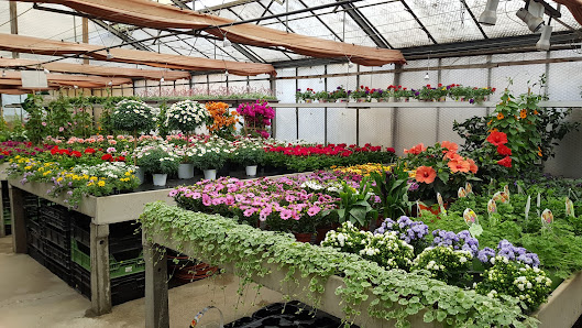 Blumen Gärtnerei Walter