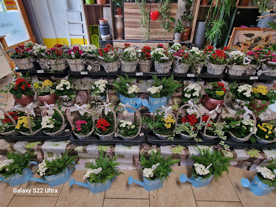 Blumenparadies