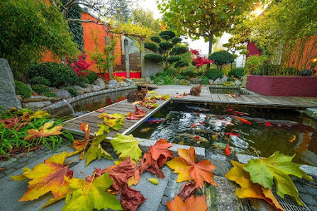 Eden Garten- und Landschaftsbau, Ulm
