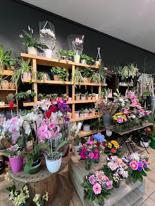 Sonnenblumenwerkstatt