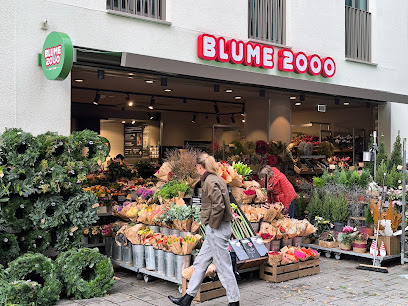 BLUME2000 Münsterplatz
