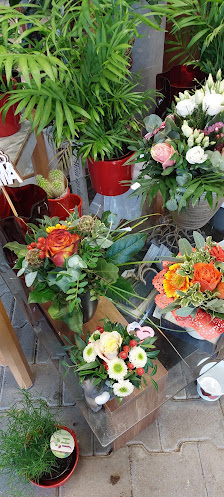 Benz Blumen Center