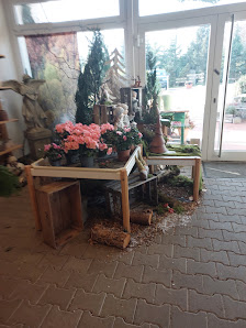 Benz Blumen Center