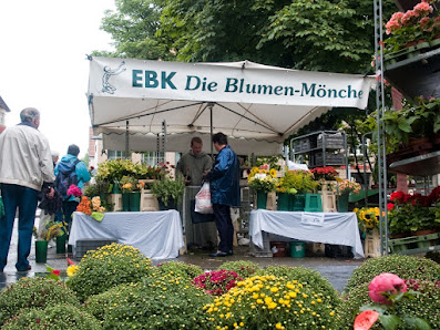 Blumenmönche direkt