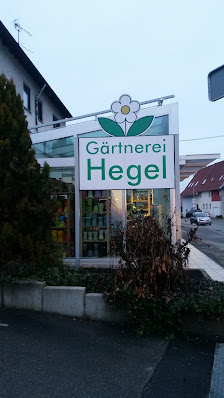 Hegel C.