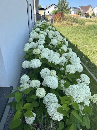 Gartenträume Henry Renz Garten- und Landschaftsbau