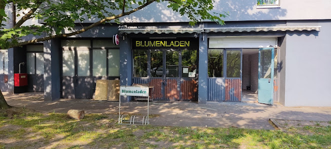 Lavi Florist Blumenladen