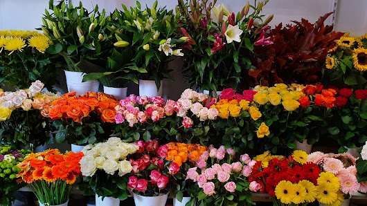 BlumenLinh