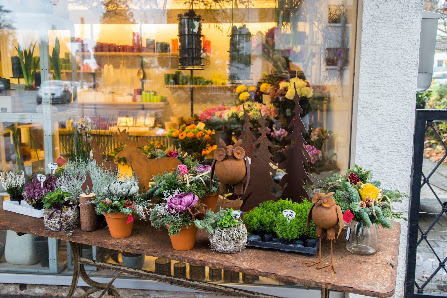 Blumen Paule-Liebchen OHG