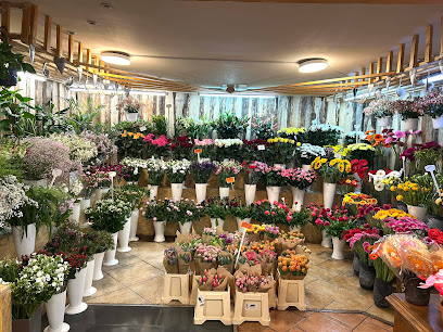 Blumen und Gartencenter