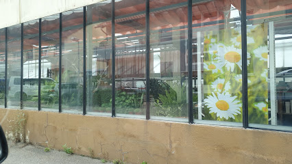 Blumen Assenheimer