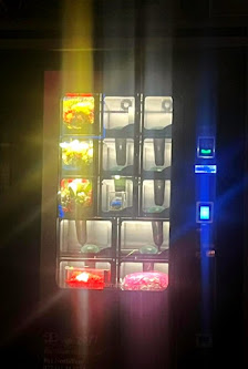 24/7 Blumenautomat | Blumen Element