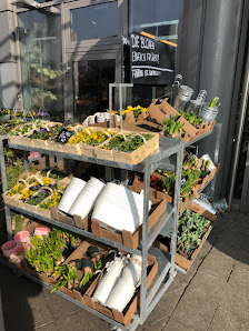 BLUME2000 Prerower Platz