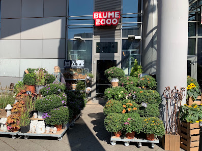 BLUME2000 Prerower Platz