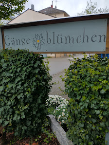 Blumen Gänseblümchen