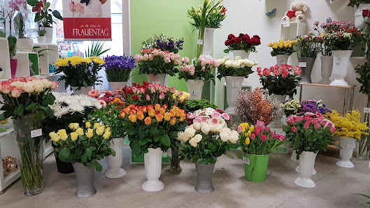Elena’s Blumen