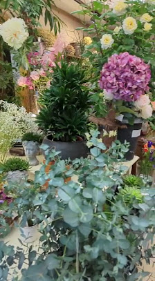 Blumenhaus Klein