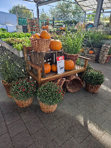 ZG Raiffeisen Markt