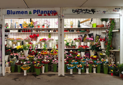 Blumen im S-Bahnhof Wartenberg