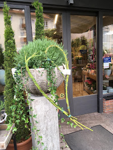 Blumen REIBOLD