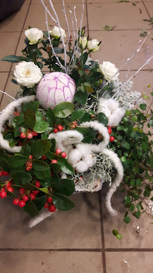 Blumen & Pflanzen PROFiFLORA