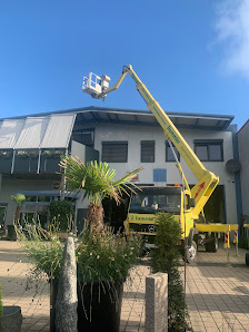 Stemmler Gartengestaltung oHG