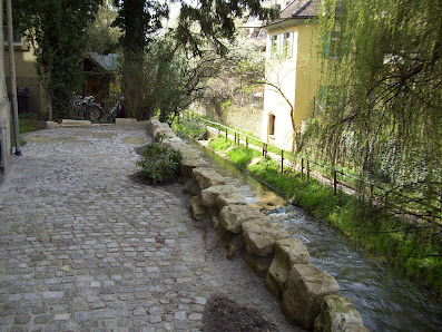 Manfred Reiner Gartenbau