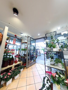 Blumenhaus Stach
