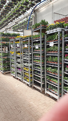 Gartenbau Friedrich e.K.