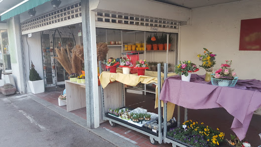 Blumen Flora