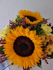 Blumen-Einstein Inh. Jochen Schweiger
