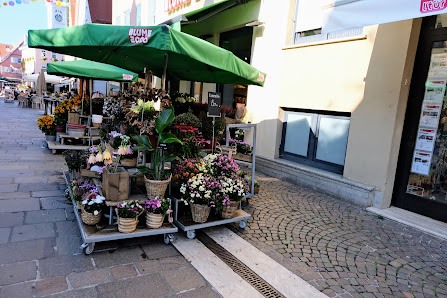 BLUME2000 Aalen