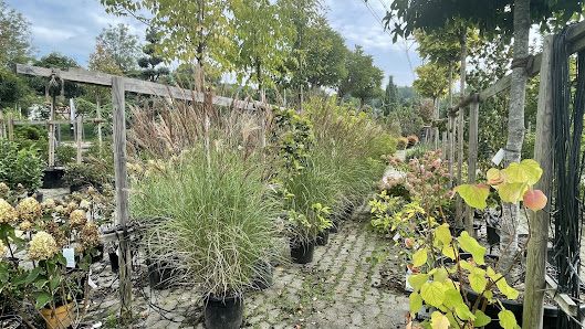 Wiggenhauser Gartenbau GmbH