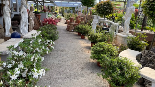 Wiggenhauser Gartenbau GmbH