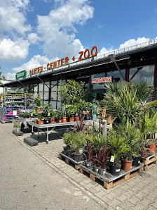 Dehner Garten-Center