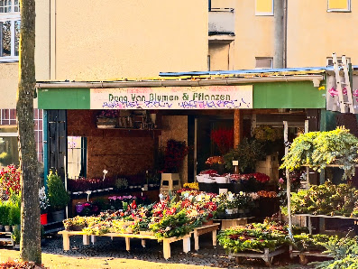 Dong Van Blumen & Pflanzen