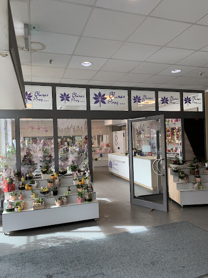 Blumen Proz… im Ekz Singen