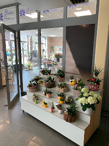 Blumen Proz… im Ekz Singen