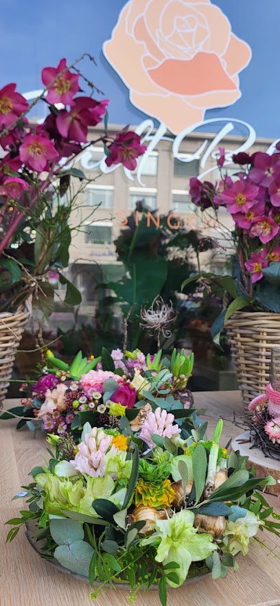 Stadt Blüte Singen
