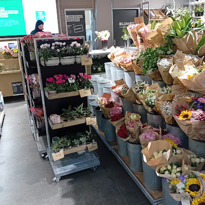 BLUME2000 Singen