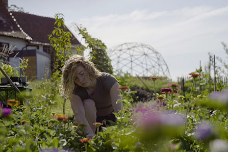BioToPhilie - Blumen aus der Region