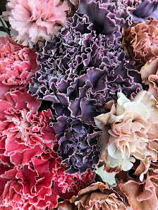 Baur Blumen Inh. M. Hofmann