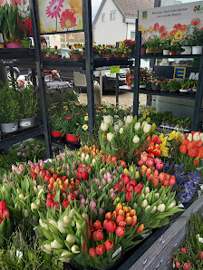 Baur Blumen Inh. M. Hofmann